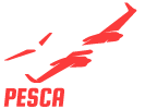 Pesca Aviation Logo